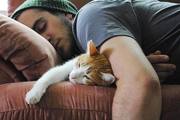 Мужчина спит с котом